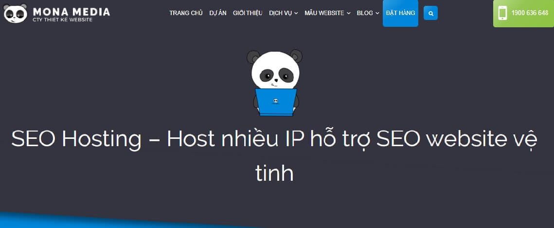 nhà cung cấp web hosting seo hàng đầu Việt Nam