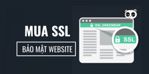 đăng ký chứng chỉ SSL tại Mona Media