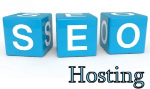 Định nghĩa đầy đủ về seo hosting