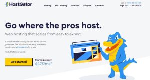 doanh nghiệp cung ứng website hosting ngoài nước
