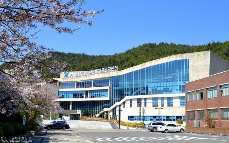 Đại học Gyeongsang là một trong các trường đại học công lập