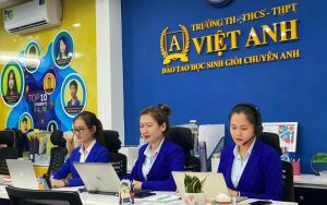 Trường THCS quốc tế Việt Anh