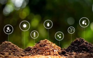 tác hại của phân bón