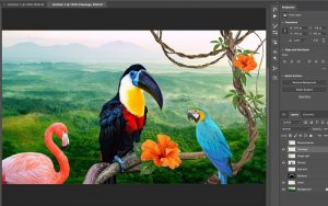Adobe Photoshop CC