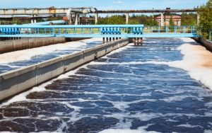 Quy trình xử lý nước thải sinh học