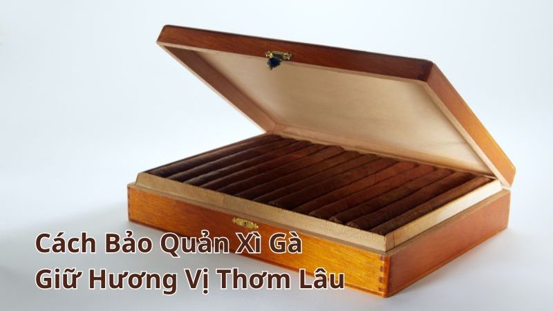 Hướng Dẫn Cách Bảo Quản Xì Gà Giữ Hương Thơm Lâu Cho Người Mới