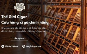 cửa hàng bán xì gà chính hãng thegioicigar