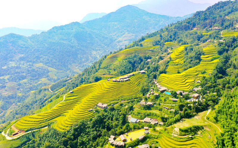 hoàng su phì